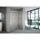 Merlyn Series 8 Frameless Hinge & Inline Door