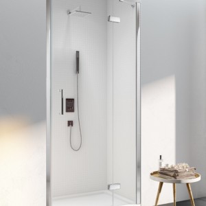 Merlyn Series 6 Frameless Hinge & Inline Door