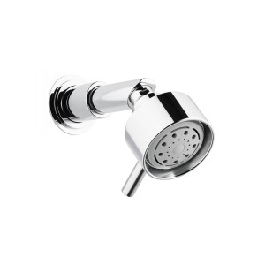Swadling Absolute Titan Multi-Function Shower Head on Short Shower Arm - 5680700OOX