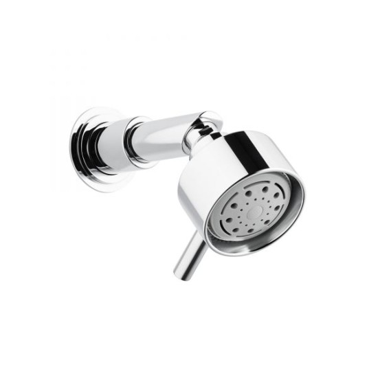 Swadling Absolute Titan Multi-Function Shower Head on Short Shower Arm - 5680700OOX