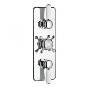 Swadling Invincible Double Controlled Thermostatic Shower Mixer - 7020000