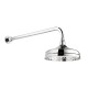Swadling Invincible Deluge on Adjustable Projection Arm - 7671000OOX - 7671800OOX + 5SMANIFOLD
