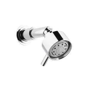 Swadling Engineer  Titan Multi-Function Shower Head on Short Shower Arm - 5680700OOX