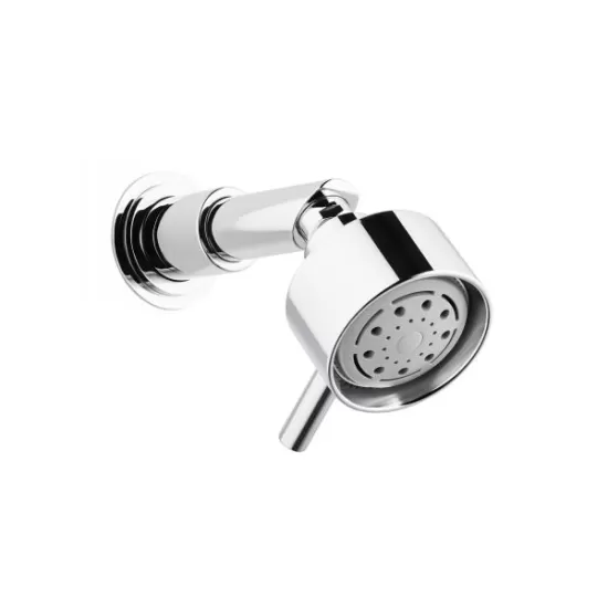 Swadling Absolute Titan Multi-Function Shower Head on Short Shower Arm - 5681700OOX + 5SMANIFOLD