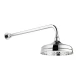 Swadling Invincible Deluge on Adjustable Projection Arm - 7671000OOX - 7671800OOX + 5SMANIFOLD